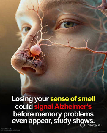 Early Loss of Smell: A New Warning Sign for Alzheimer’s Disease