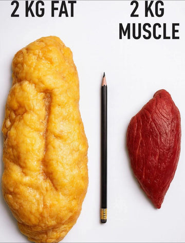 🏋️‍♂️ Build Power, Not Excuses — Why Muscle Matters More Than Weight