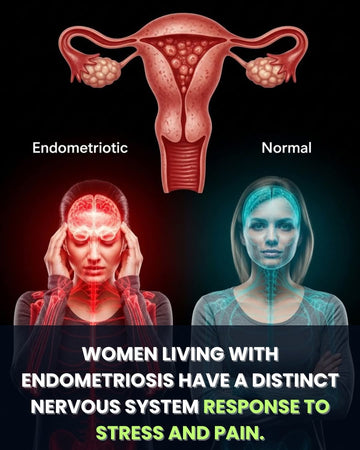 اینڈومیٹریوسس: درد، اسٹریس اور قدرتی جڑی بوٹیوں سے معاون نگہداشت