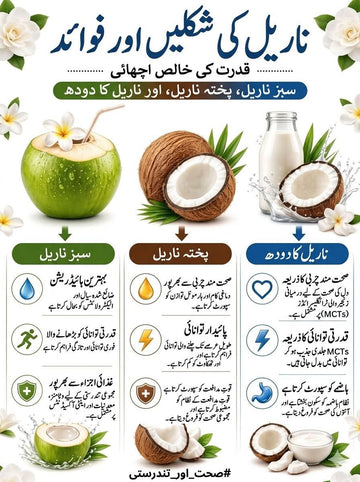 ناریل کی مختلف شکلیں اور فوائد | سبز ناریل، پختہ ناریل اور ناریل کا دودھ