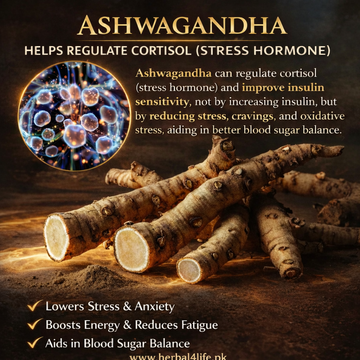 اسکند ناگوری (Ashwagandha) کے فوائد – تناؤ کم کرنے والا بہترین قدرتی ٹانک