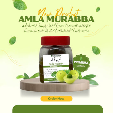 Amla Murabba Natural - Dr. Bilquis Sheikh - Herbal4Life