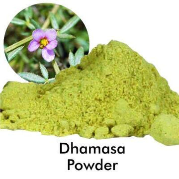 Dhamasa booti ( Fagonia) Powder by Dr Bilquis Shaikh