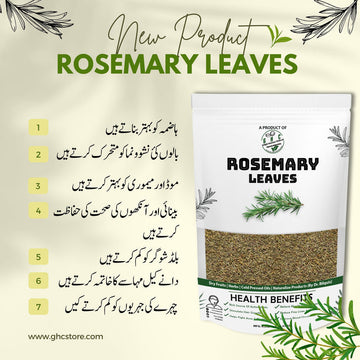 Rosemary Leaves Herbs